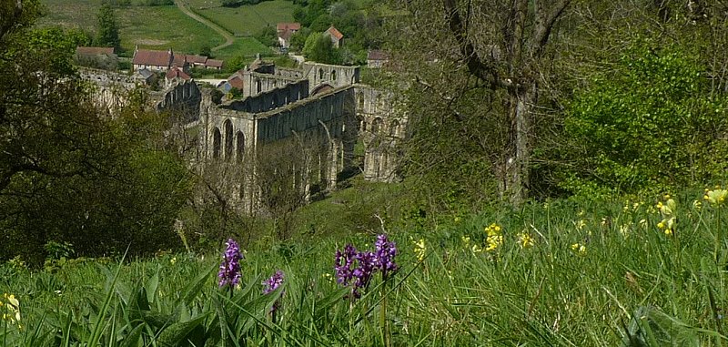 View of Rievaulx Abbey