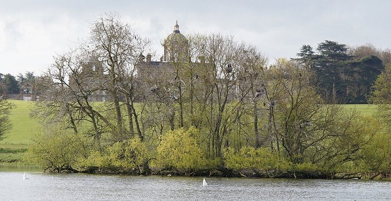 View of Castle Howard with cormorant colony