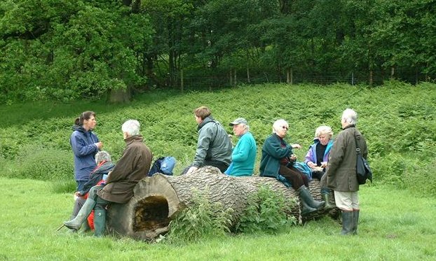 group having lunch