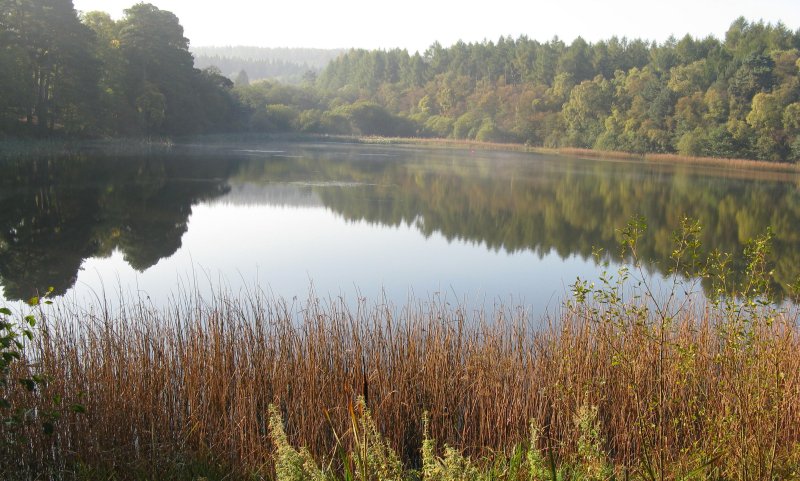 View over lake