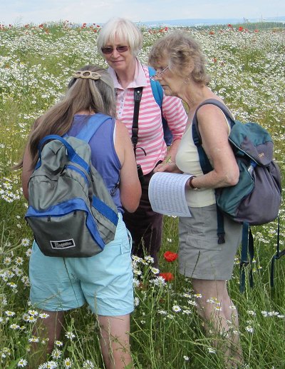 botanists in the field