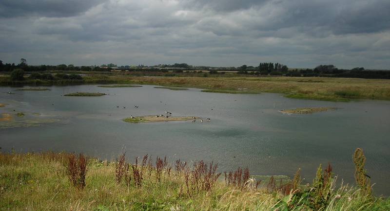 View of lake