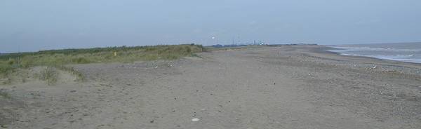 view down Spurn