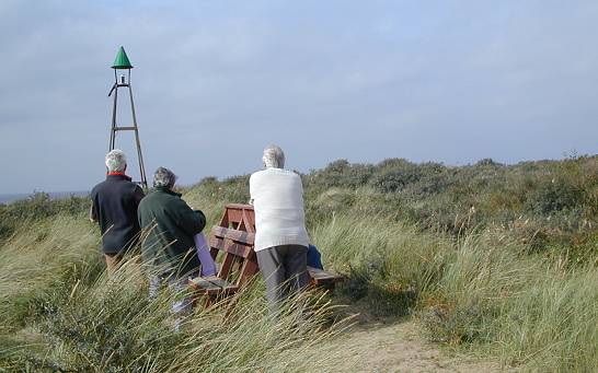 Scrub at Spurn Point