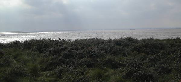 landscape across the Humber